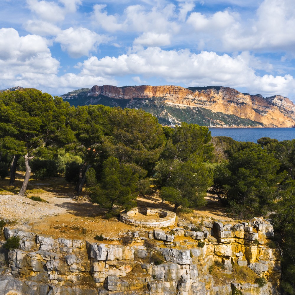 présence forte dans le Sud de la France présence forte dans le Sud de la France